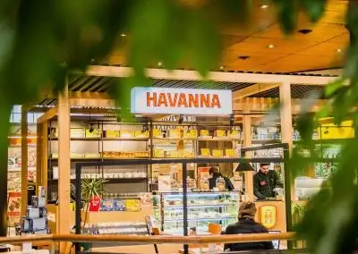 Havanna La Dehesa